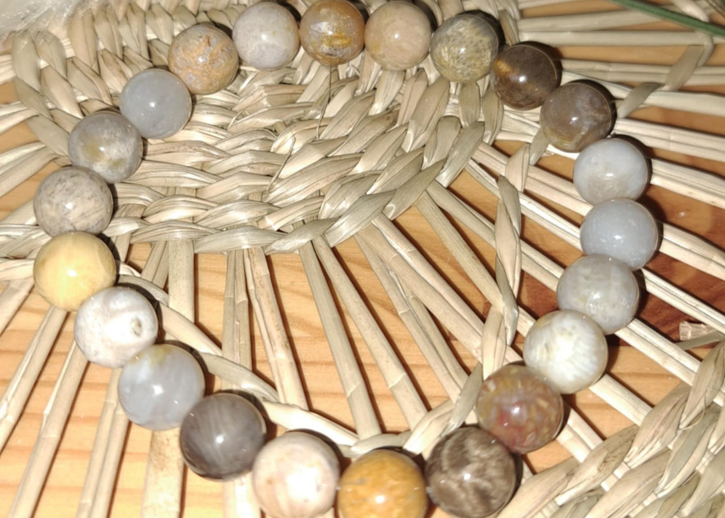 Bracelet Corps & Vitalité – Pierres naturelles de Corail Fossile 8mm