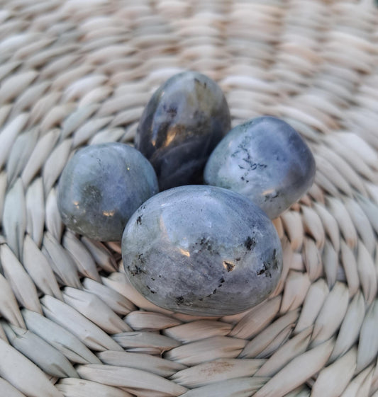 🌌 Pierre roulée – Labradorite (env. 20 à 30 mm) 🌌 unité